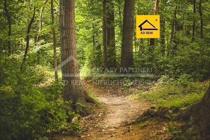 działka na sprzedaż 20570m2 działka Pieszowola, Pieszowola