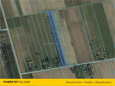 Działka rolna na sprzedaż Żeliszew Duży, Kotuń 4 000m2 Foto 5