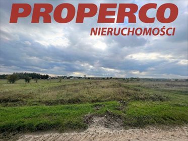 działka na sprzedaż 3000m2 działka Sokołów Dolny