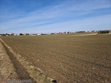 działka na sprzedaż 915m2 działka Sieciechowice