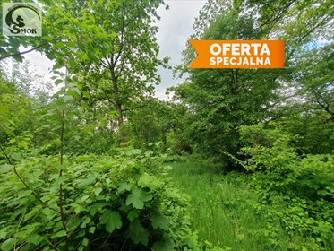 działka na sprzedaż 2400m2 działka Świątniki Górne, Dział