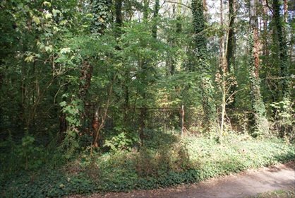 działka na sprzedaż 1500m2 działka Zgierz, Dąbrówka Wielka, Przylesie