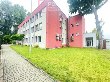Biuro 132 m² w Opolu, klimatyzacja, prestiżowa lokalizacja lokal użytkowy Opole, Półwieś, Wrocławska