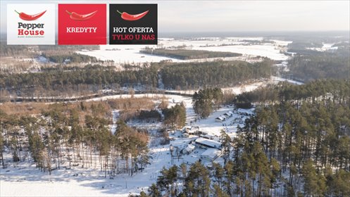 Polecam malowniczą agroturystykę 7100 m² w Borach Tucholskich lokal użytkowy Żukowo