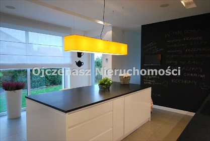 Przestronna rezydencja 386 m² z ogrodem 3646 m². dom Tryszczyn