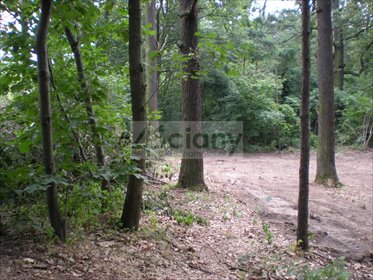 Polecam działkę 3060 m² z lasem i planem zagospodarowania działka Warszawa, Wawer, Anin