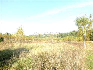 Działka budowlana na sprzedaż Wsola 1 543m2 Foto 4