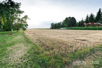 działka na sprzedaż 6500m2 działka Niedźwiedź, Spacerowa