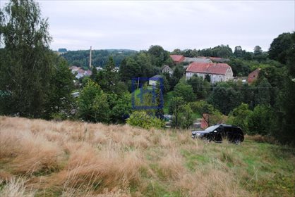 Działka budowlana na sprzedaż Miłoszów, Miłoszów 6 500m2 Foto 4