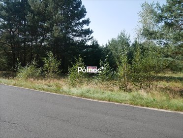Do sprzedania działka 2 300 m² w Bronowcu z lasami i zielenią działka Bronowiec