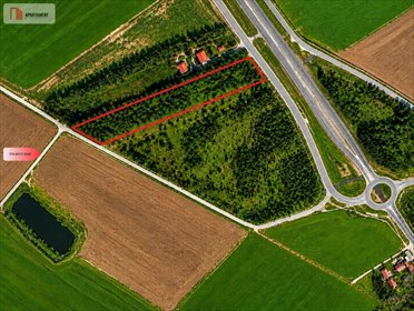 Działka inwestycyjna pod obsługę podróżnych, 10 501 m2 działka Turowo