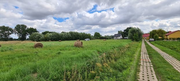 działka na sprzedaż 14000m2 działka Piaskowiec, Piaskowiec