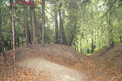 Działka leśna na sprzedaż Malinówka 38 900m2 Foto 6