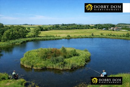 działka na sprzedaż 4200m2 działka Krynki