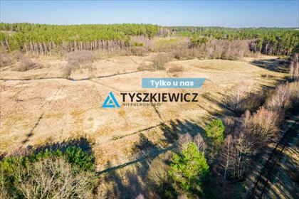 działka na sprzedaż 43300m2 działka Gumieniec