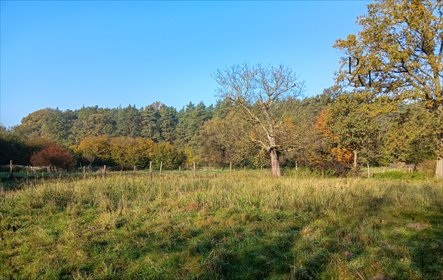 działka na sprzedaż 1691m2 działka Łazy