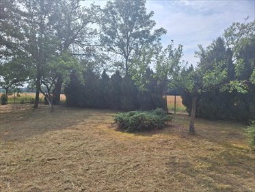 działka na sprzedaż 720m2 działka Nowa Wieś