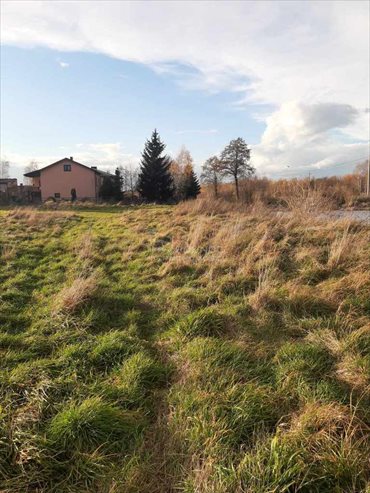 Działka rolna na sprzedaż Proćwin 1 100m2 Foto 2