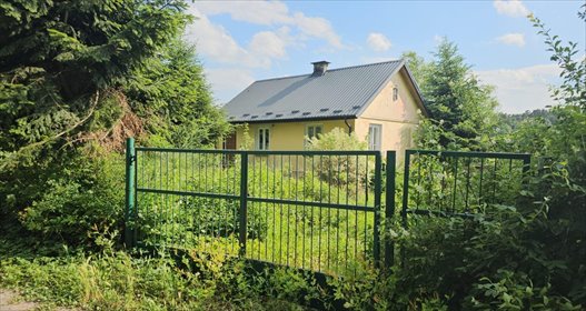 dom na sprzedaż 90m2 dom Izbica, wólka orłowska