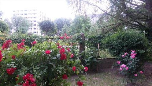 mieszkanie na sprzedaż 64m2 mieszkanie Warszawa, Wola, Juliusza Konstantego Ordona