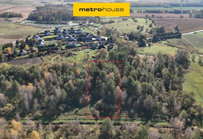 Sprzedam działki 3200 m² w Żytniej z potencjałem inwestycyjnym działka Żytnia
