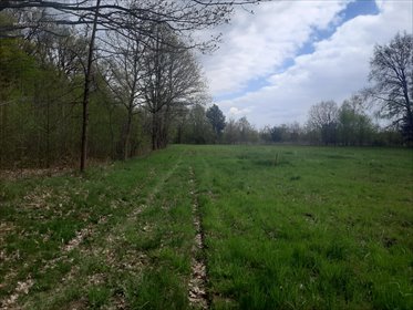 Działka budowlana na sprzedaż Nowy Prażmów, al. Główna 2 119m2 Foto 5