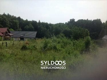 Działka budowlana na sprzedaż Zielona 4 200m2 Foto 4