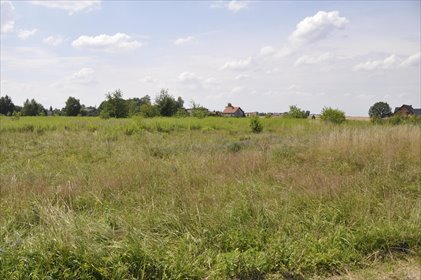 działka na sprzedaż 800m2 działka Orzesze