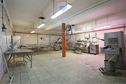 Magazyn na sprzedaż Żytniów 2 000m2 Foto 6