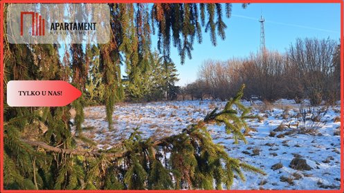 działka na sprzedaż 2588m2 działka Wałcz