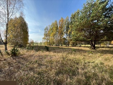 działka na sprzedaż 20000m2 działka Komorów