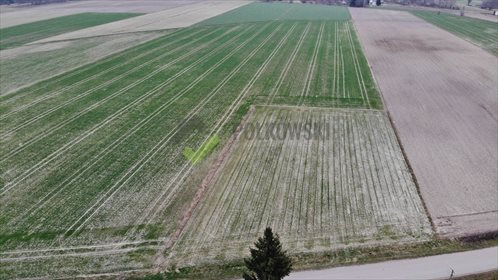 Działka rolna na sprzedaż Strzeszewo 3 000m2 Foto 1