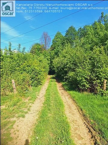 działka na sprzedaż 134900m2 działka Rudzica