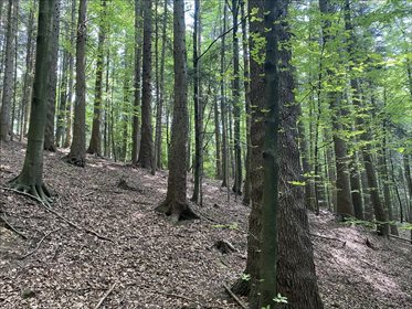 Działka rolna na sprzedaż Kunkowa, Uście Gorlickie 11 607m2 Foto 2