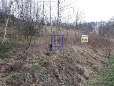 Działka budowlana na sprzedaż Kościelniki Górne 2 789m2 Foto 2
