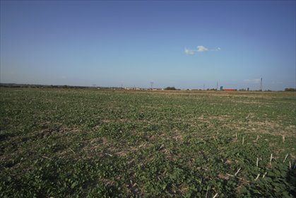 Duża działka inwestycyjna 0,82 ha z możliwością dokupienia działka Długie