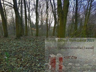 działka na sprzedaż 3300m2 działka Kocianów