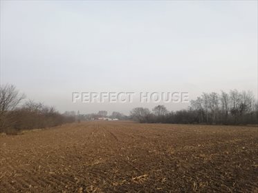 Działka budowlana na sprzedaż Poznań, Fabianowo 16 145m2 Foto 4