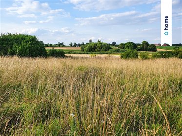 działka na sprzedaż 1405m2 działka Wińsko, Parkowa