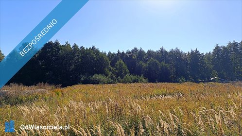 Działka 1692 m² z lasem i dostępem do S7. Bez prowizji. działka Szczytno