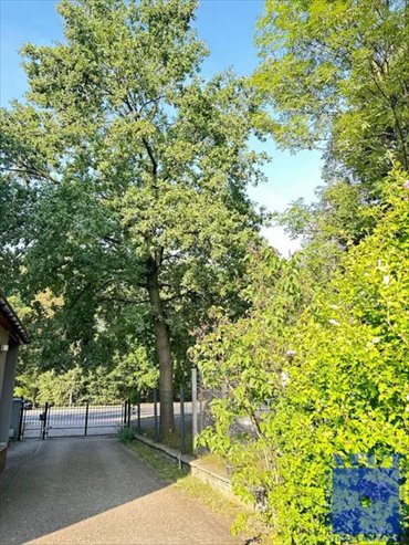 Dom na sprzedaż Gliwice, Szobiszowice, toszecka 62 240m2 Foto 3