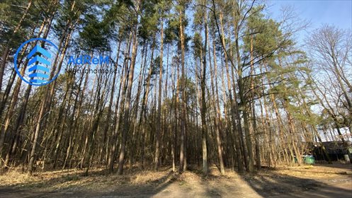 działka na sprzedaż 2400m2 działka Sękocin-Las