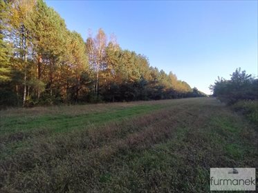 Działka inna na sprzedaż Lipiny Górne-Borowina 16 337m2 Foto 2