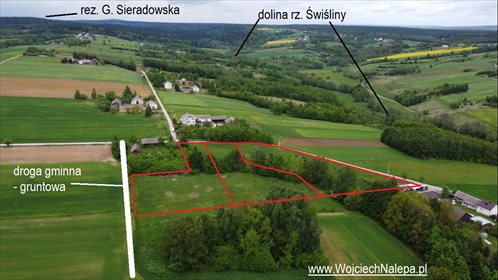 Działka budowlana na sprzedaż Radkowice-Kolonia 4 651m2 Foto 2