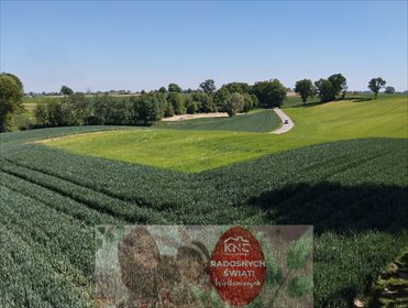 działka na sprzedaż 2500m2 działka Moszenki