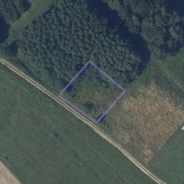 Polecam działkę 647 m² w spokojnej okolicy z lasami i zabudową działka Wojaszówka