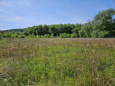 Do sprzedania duża działka 16 104 m² z lasem i infrastrukturą działka Świebodzice
