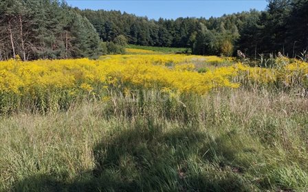 działka na sprzedaż 6703m2 działka Młoszowa, Krakowska