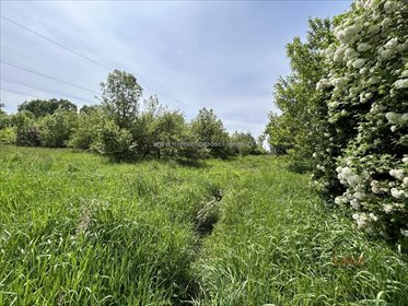 działka na sprzedaż 1100m2 działka Tomice