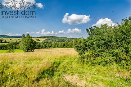 działka na sprzedaż 12400m2 działka Kunkowa